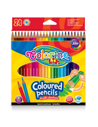 Hexagonal Coloured Pencils 24 colours